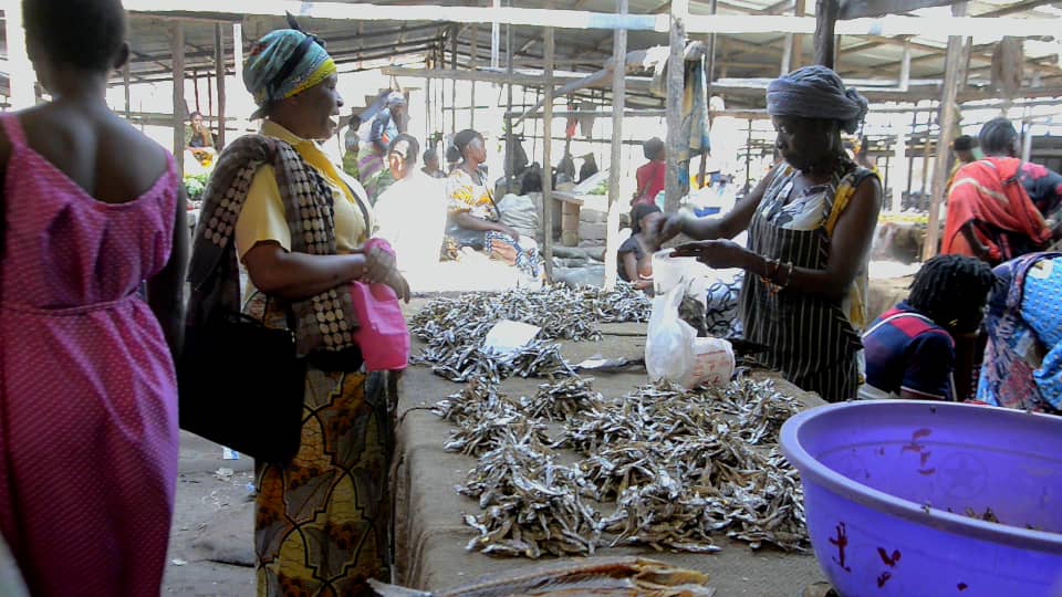 Kalemie : Quand le vent « Saba Saba » vide les étals et fait grimper les prix du poisson